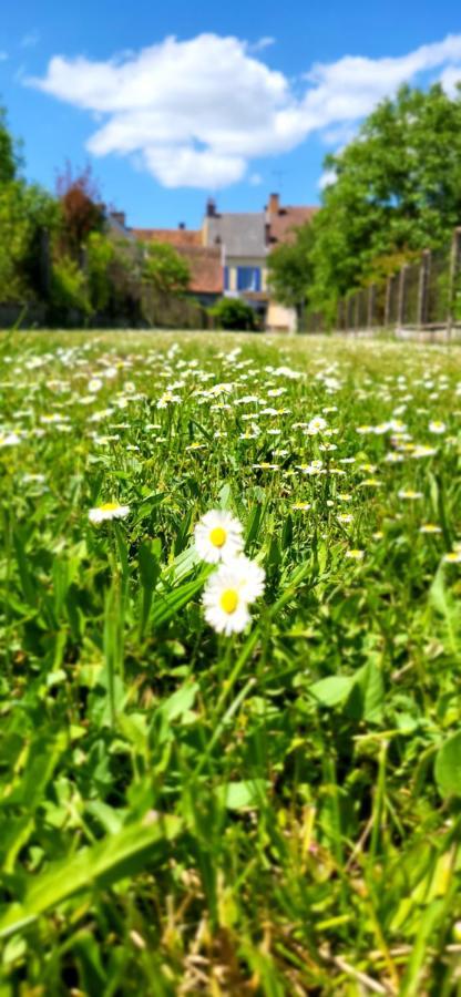 Le Gite Du Nohain Entrains-sur-Nohain Экстерьер фото